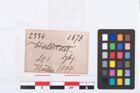 Etikett zu Beinnadelspitzenschoner (NHMW-PRAE-002334)